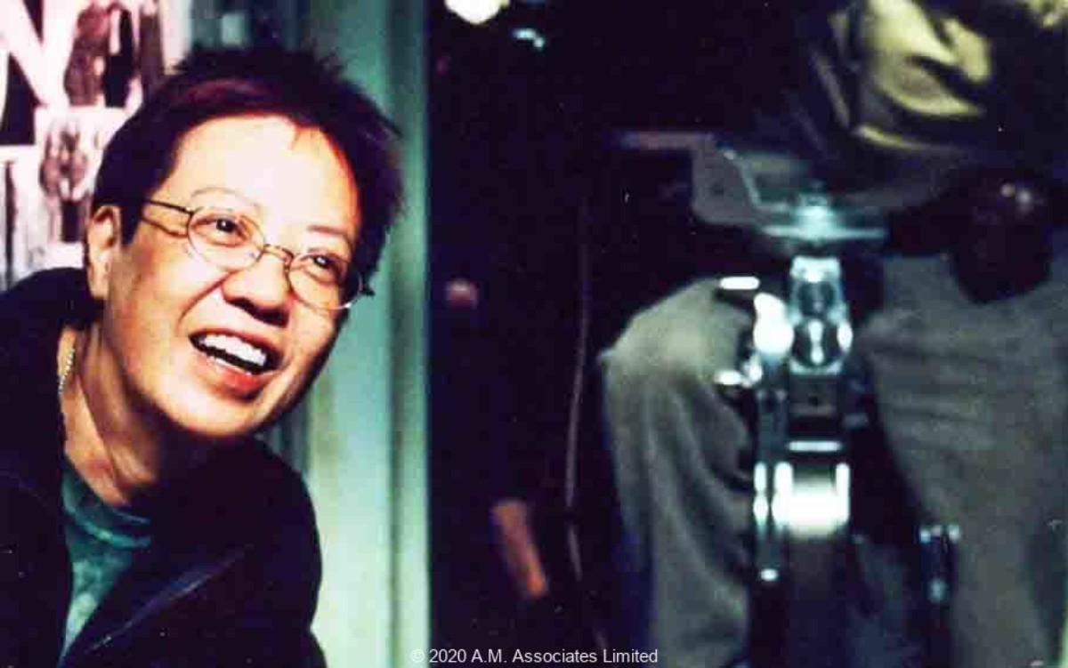 我が心の香港　映画監督アン・ホイ、ドキュメンタリー、マン・リムチョン、アン・ホイ、ナンサン・シー、ツイ・ハーク、フルーツ・チャン、ティエン・チュアンチュアン、ホウ・シャオシェン、アンディ・ラウ、ジャ・ジャンクー、シルヴィア・チャン