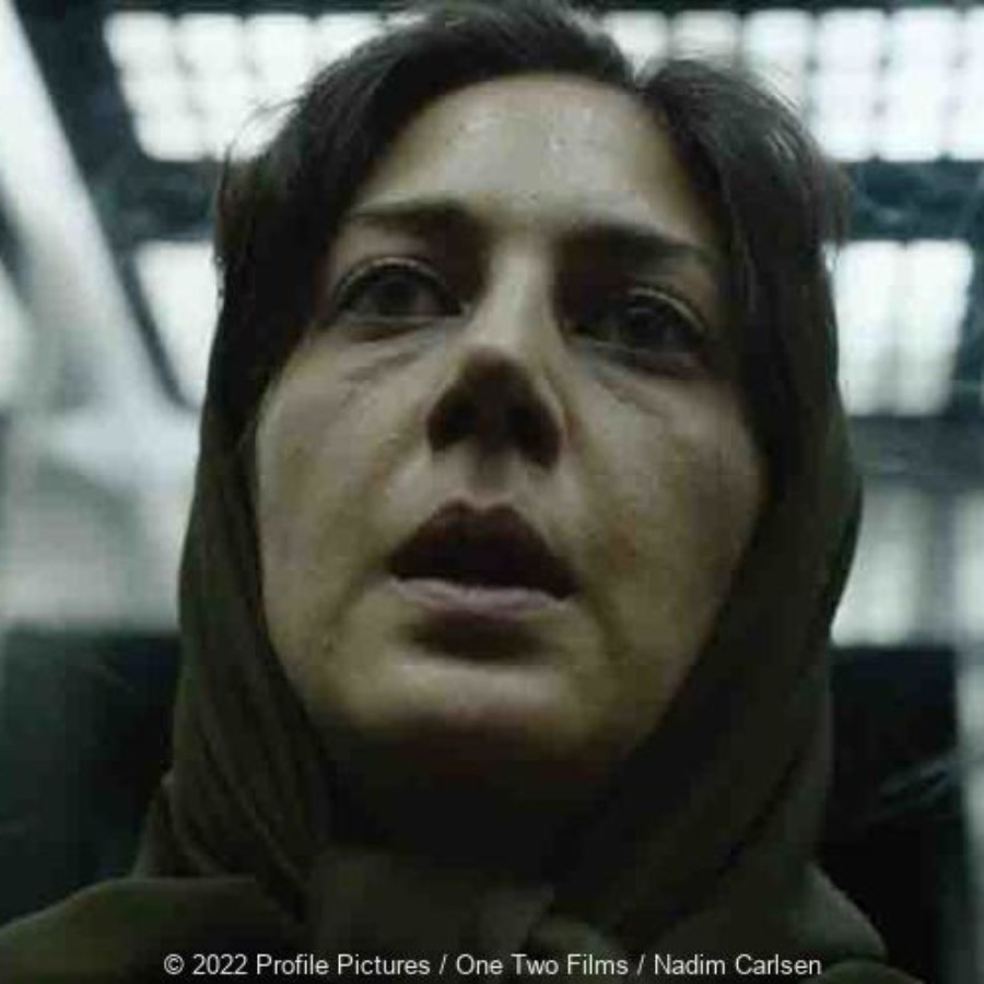 第75回カンヌ国際映画祭：コンペティション部門正式出品作品、ある視点賞、ボーダー 二つの世界、監督のアリ・アッバシにとって初めてのカンヌ・コ、2000年から2001年の間に神からのミッションと称し、16人もの女性を殺した犯人シーアド・ハニイの事件、実話を基にしたストーリー、イランで実際に起きたセックス・ワーカーばかりを狙った連続殺人事件を追った女性ジャーナリストの苦悩を描くアリ・アッバシ監督最新作！、イラン発！セックス・ワーカーを狙った連続殺人事件を追う！、ザーラ・アミル・エブラヒミ、ミーディ・バァジャスタニ、エラシュ・エシュアニ、フォラジャン・シドジャナッド、シナ・ポーヴァナ、ニマー・アクーボォパー、アリ・アッバシ、ホーリー・スパイダー、Holy Spider、
