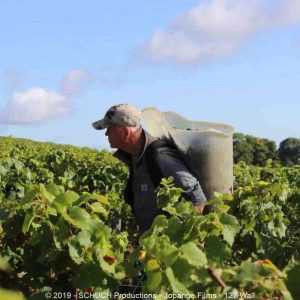 ムルソー、ヴォルネイ、シャンボール・ミュジニー、ジュヴレ・シャンベルタン、ロマネコンティ、伝説的な醸造家ジャック・ピュイゼ、フランスを代表する偉大なワインの生産地、中世に遡ると言われるブルゴーニュ地方。ワイン醸造家らが特級畑から摘み取られた葡萄から神々しいまでのワインに育て上げる様をカメラは美しく活写してゆく。極上のワインにまつわる叙事詩のようなドキュメンタリー、ワインの真髄、ブルゴーニュを魅せる、マリー＝アンジュ・ゴルバネフスキー、The Soul of Wine、ソウル・オブ・ワイン、