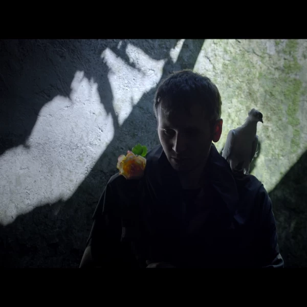 アゼルバイジャンが生んだ孤高の映画詩人、ヒラル・バイダロフの最新作『鳥たちへの説教』、『死ぬ間際』（2020年）で東京フィルメックス最優秀作品賞、『クレーン・ランタン』（2021年）で東京国際映画祭芸術貢献賞を受賞したヒラル・バイダロフ監督最新作。 アゼルバイジャンの森を舞台に戦争がもたらす悲劇と、人間の愚かな行いとは無縁であるかのような自然の美しさが驚異的な映像美と詩で多次元的に描かれる。、「説教」3部作のうちの1本として作られた映画、魚への説教/Sermon to the Fish、ロカルノ国際映画祭・緑の豹賞（スペシャル・メンション受賞）、第36回東京国際映画祭：コンぺティション部門正式出品作、鳥たちへの説教、Sermon to the Birds、アゼルバイジャン、ヒラル・バイダロフ、オルカン・イスカンダルリ、ラナ・アスガロワ、 フセイン・ナシロフ、2023 Ucqar Film 、