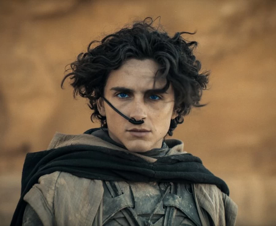 デューン　砂の惑星 PART2、Dune: Part Two、ドゥニ・ヴィルヌーヴ、ティモシー・シャラメ、ゼンデイヤ、レベッカ・ファーガソン、ハビエル・バルデム、ジョシュ・ブローリン、オースティン・バトラー、フローレンス・ピュー、デイヴ・バウティスタ、クリストファー・ウォーケン、レア・セドゥ、ステラン・スカルスガルド、シャーロット・ランプリング、スハイラ・ヤコブ、アニャ・テイラー＝ジョイ、ついに聖戦へ突入！『デューン　砂の惑星 PART2』、フランク・ハーバートによる全6巻からなるSF小説の金字塔をドゥニ・ヴィルヌーヴ監督が完全映像化した第２弾！ パート1の興行的な大成功から直ぐにパート2製作に入り、第1部で世界観の下地が完全に作り上げられたおかげで本作で縦横無尽に登場人物たちが駆け巡り、後半ではケレン味たっぷりの壮大な戦闘シーンが用意されている。 本作シリーズの快調な成功を受け『デューン』は、3作目『デューン　砂の惑星 PART3 メサイヤ（救世主）』（仮題）で幕を閉じるが、TVシリーズで前日譚にあたるプリクエル『デューン プロフェシー（啓示）』（仮題）もスタートし、この物語が形作られていった謎が紐解かれてゆく。 フランクの息子ブライアン・ハーバートとケヴィン・J・アンダースン共著による続編も　数多く出版されている『デューン　砂の惑星』ユニバースは拡張し続けていきそうな予感がある。、オースティン・バトラーが見事に演じた冷酷非道なサイコパス、フェイド・ラウサ、『デューン』ユニバースの可能性、SF映画